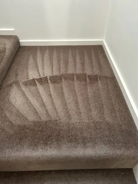 Carpet Cleaning
