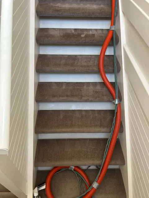 Carpet Cleaning